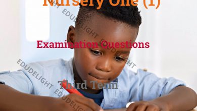 Nursery 1 Exam Questions Third Term Edudelight