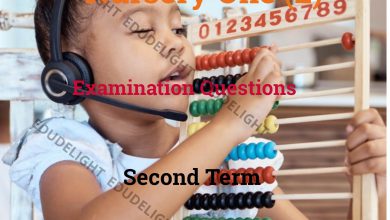 Nursery 2 Exam Questions Second Term Edudelight