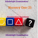 Nursery 3 Exam Questions Third Term Edudelight