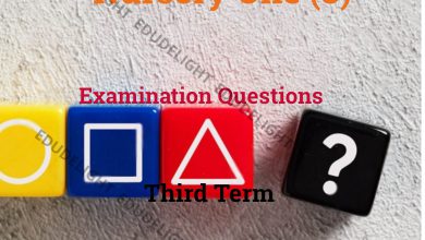 Nursery 3 Exam Questions Third Term Edudelight