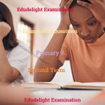 Primary 2 Exam Questions Second Term Edudelight