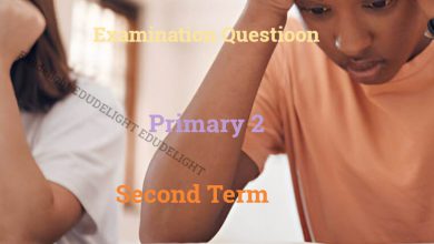 Primary 2 Exam Questions Second Term Edudelight