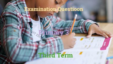 Primary 3 Exam Question Third Term Edudelight