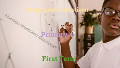 Primary 4 Examination Question First Term Edudelight