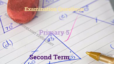 Primary 5 Exam Questions Second Term Edudelight