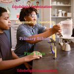 Primary Examination Questions First Term Edudelight