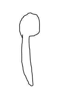 ice cream object