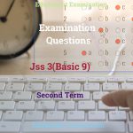 JSS3 Exam Question Third Term EduDelight