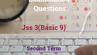 JSS3 Exam Questions Second Term Edudelight