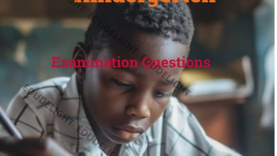 Nursery 3 Examination Questions Edudelight