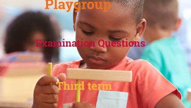 Playgroup Exam Questions Third Term Edudelight