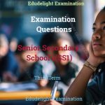 SS1 Exam Question Third Term EduDelight