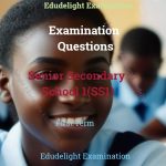 SS1 Examination Question First Term EduDelight