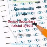 SS3 Examination Question First Term EduDelight