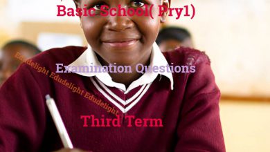 Basic 1 Exam Question Third Term Edudelight