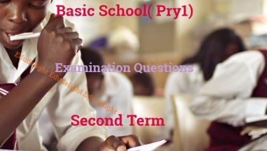 Basic 1 Exam Questions Second Term Edudelight
