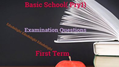 Basic 1 Examination Question First Term Edudelight