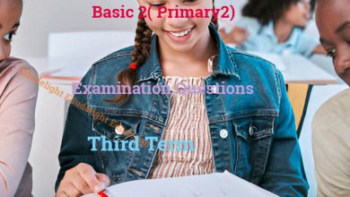 Basic 2 Exam Question Third Term Edudelight