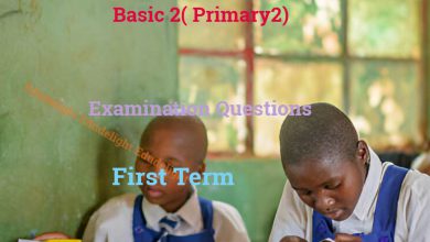 Basic 2 Examination Question First Term Edudelight
