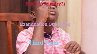 Basic 3 Exam Question Third Term Edudelight