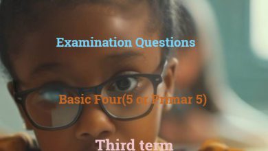 Basic 5 Exam Question Third Term Edudelight