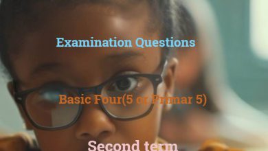 Basic 5 Exam Questions Second Term Edudelight