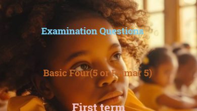 Basic 5 Examination Question First Term Edudelight