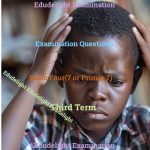 Basic 7 Exam Question Third Term Edudelight