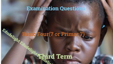 Basic 7 Exam Question Third Term Edudelight