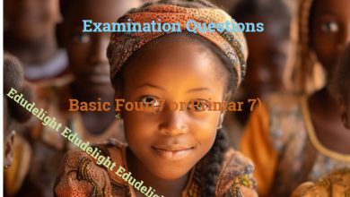 Basic 7 Examination Questions Edudelight