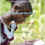Basic 8 Exam Questions Second Term Edudelight