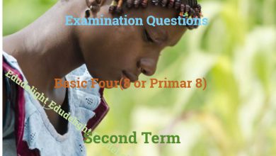Basic 8 Exam Questions Second Term Edudelight