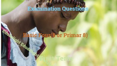 Basic 8 Examination Question First Term Edudelight