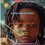 Basic 9 Exam Question Third Term Edudelight