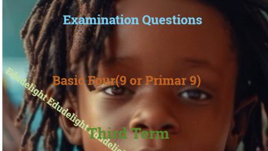 Basic 9 Exam Question Third Term Edudelight