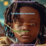 Basic 9 Exam Questions Second Term Edudelight