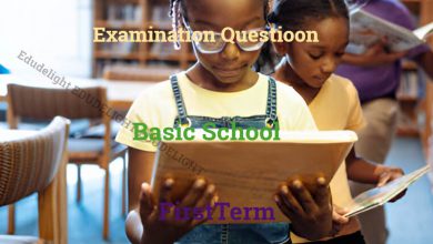 Basic School Examination Questions First Term Edudelight