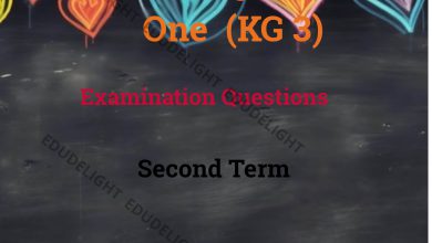 KG 3 Exam Questions Second Term Edudelight