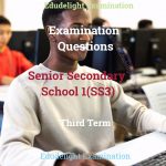 SS3 Exam Question Third Term EduDelight